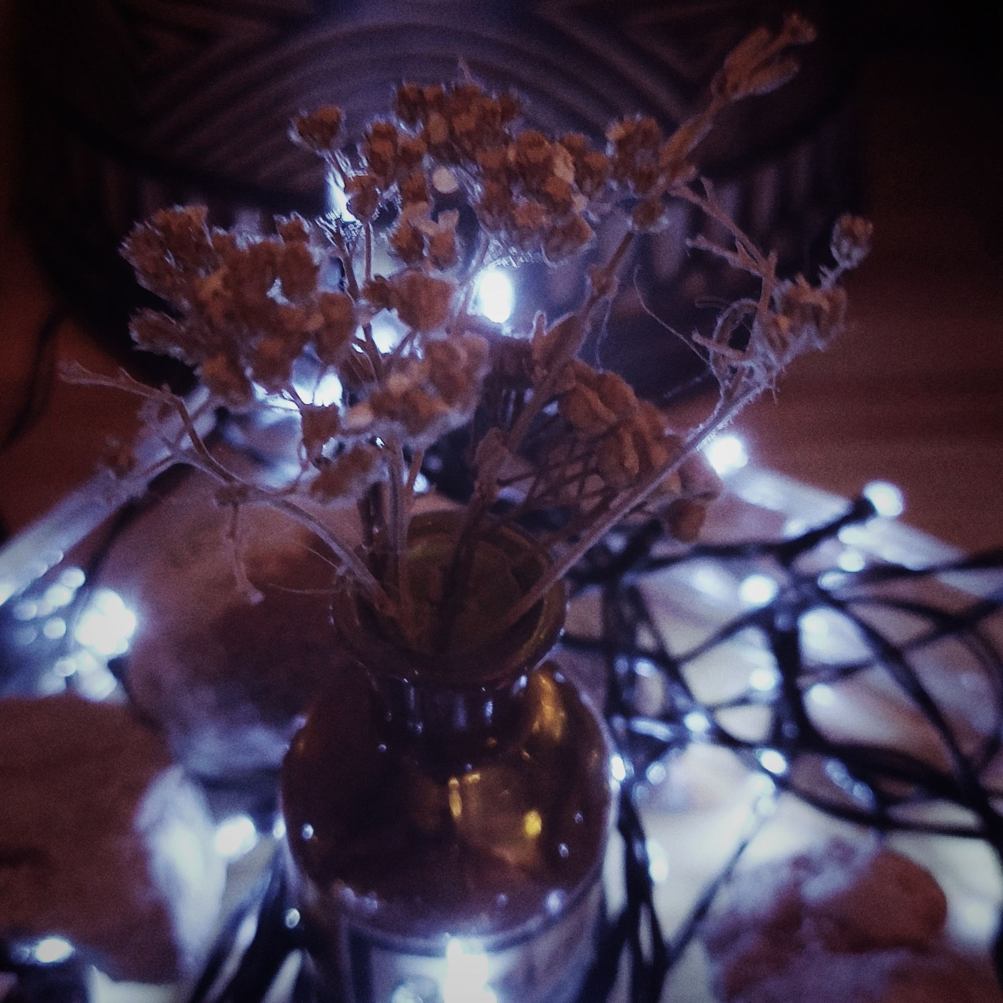 Dried flowers in an old phiol, surrounded by stones and wires and cold lights. Base of a bongo drum in the back.