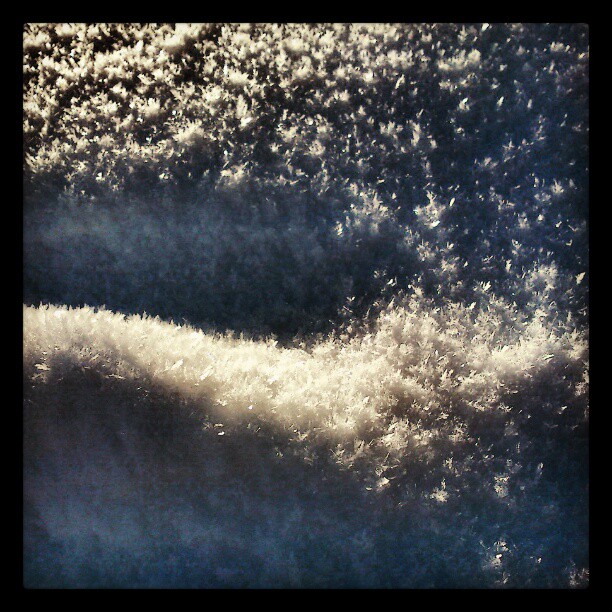 A layer of snow, close-up