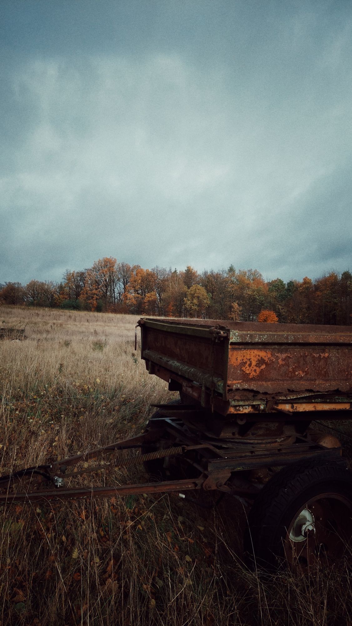 An old rusty trailer in front of a meadow and forest in autumn colors. Gray sky above the day.