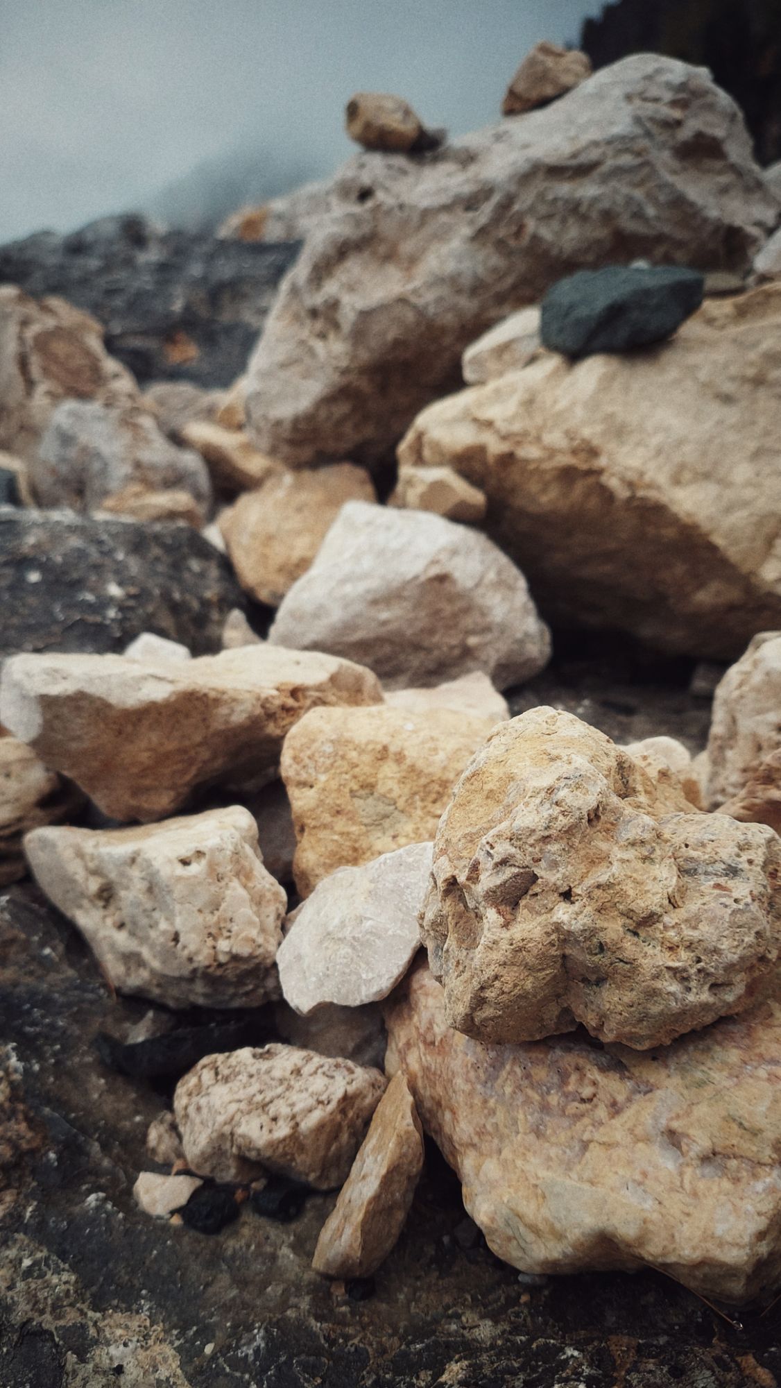 A bunch of yellow and beige stones on a dark rock.