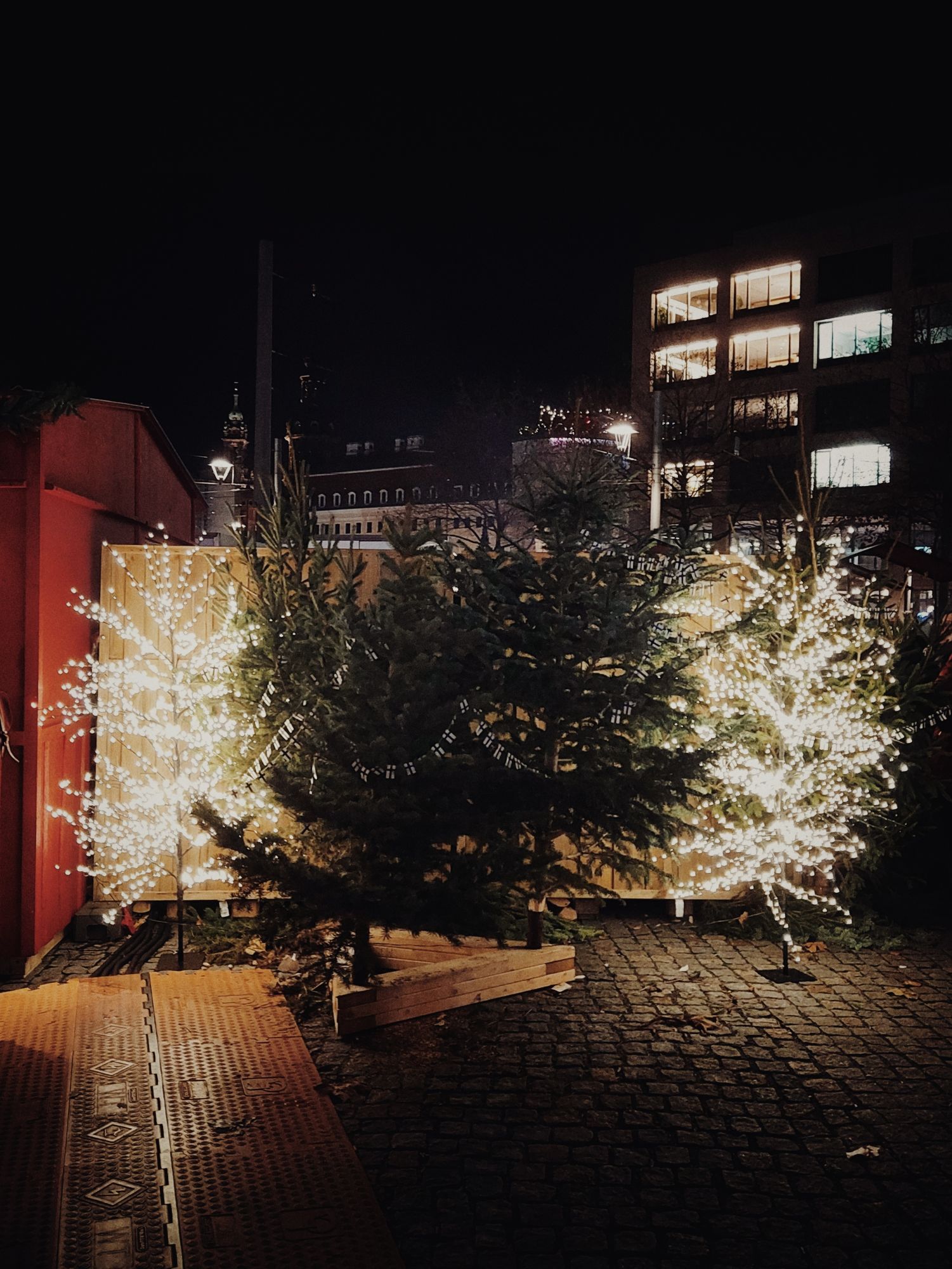 Christmas trees, illuminated, in front of an office building.
