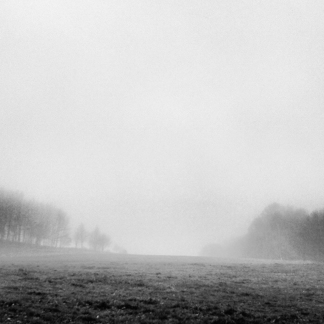November fog floating across a meadow. Bright pale picture