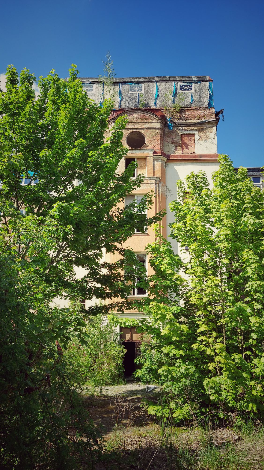 Old tower of a hospital, seen from inside bushes.