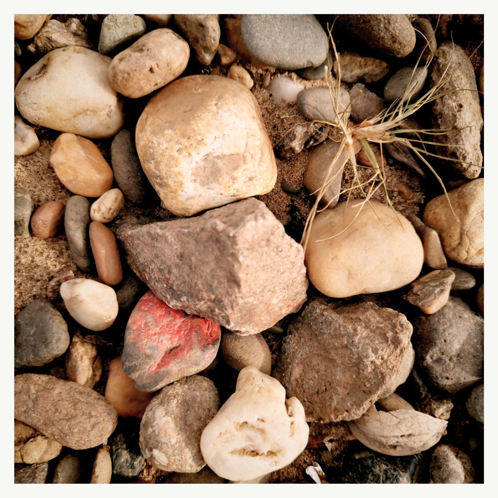 River stones, one coloured red. And a dried piece of some plant.