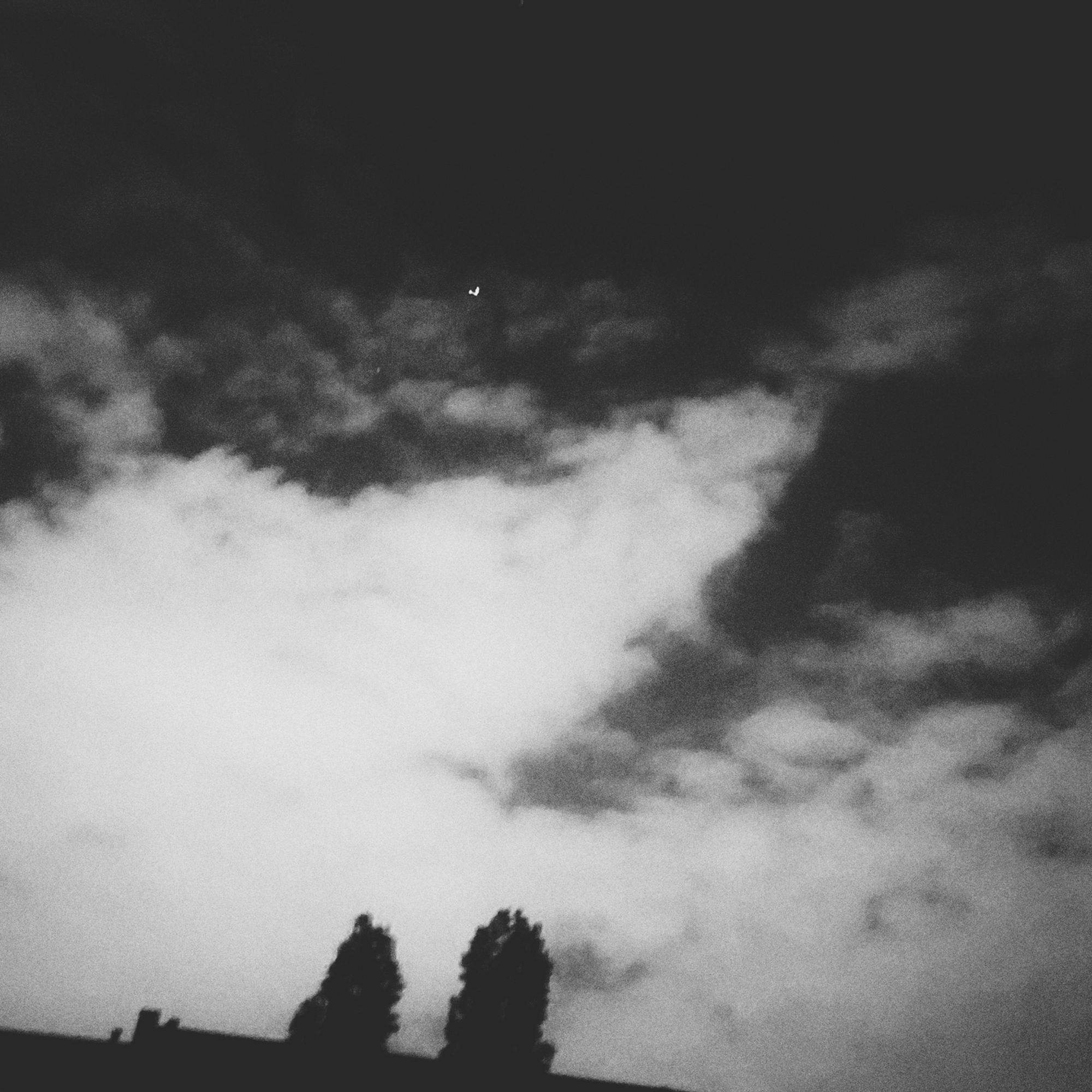 Clouds, a star and two trees above a roof. Monochrome. 
