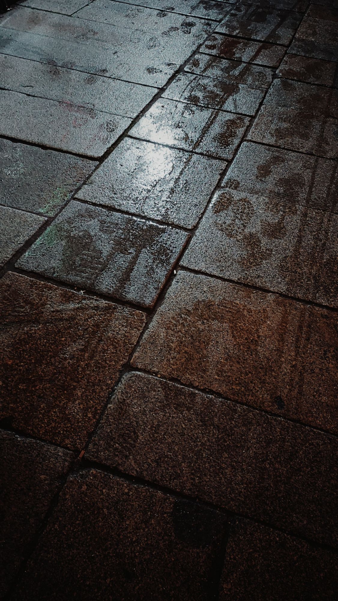 Different kinds of traces on a wet sidewalk.