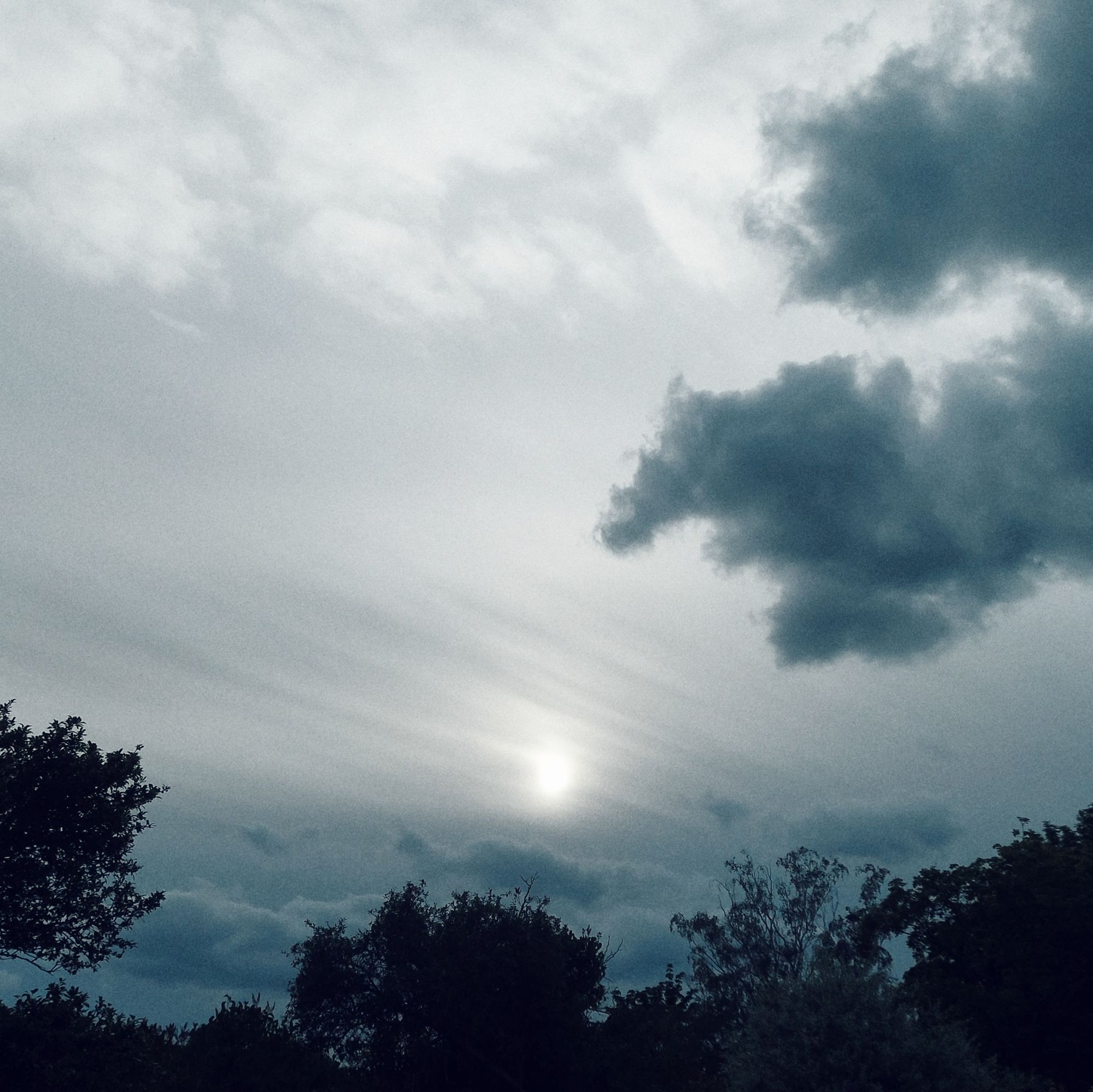 Abendsonne zwischen Wolken. Bäume, matter Himmel. 