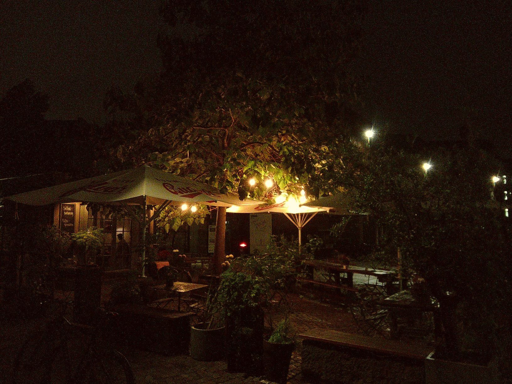 An outside part of a restaurant at night. Umbrella wearing a Budweiser logo, a bicycle in the foreground, a bunch of empty chairs and tables under lights and trees.