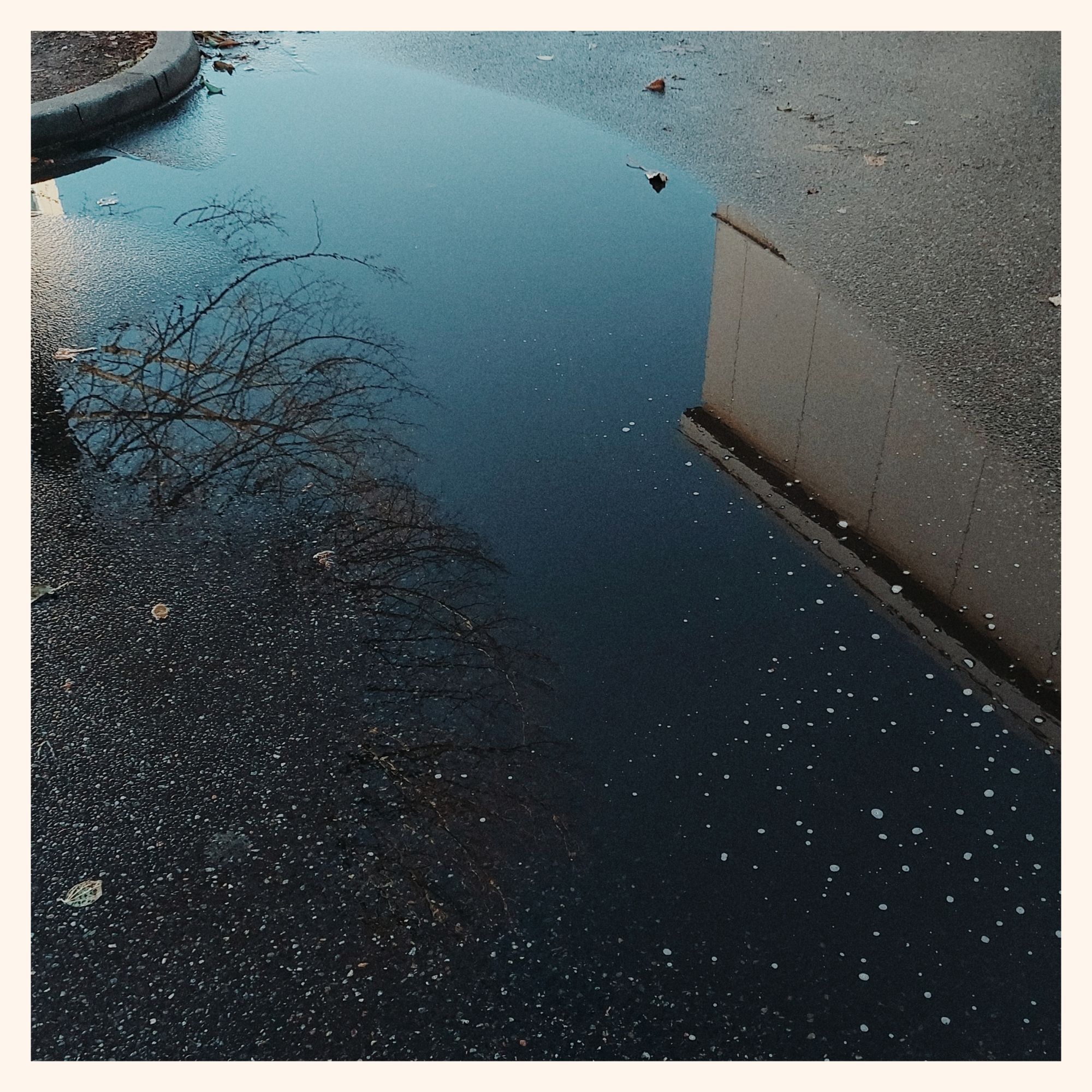 Sky, a tree and part of a building reflected by a puddle.