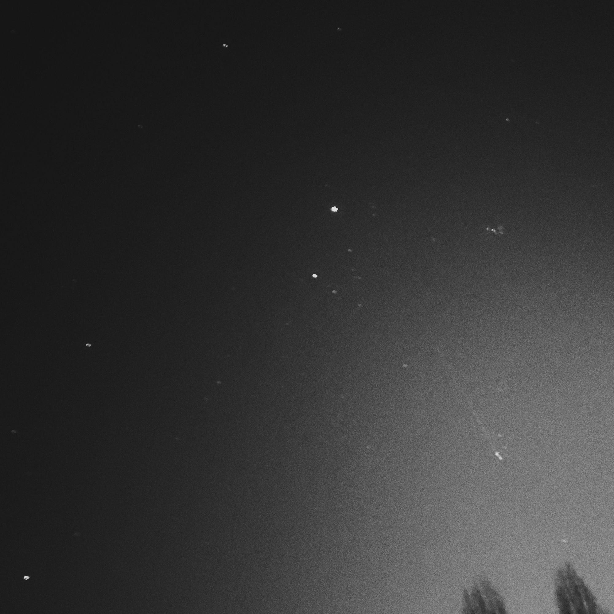 Monochrome blurred image of stars in a night sky.