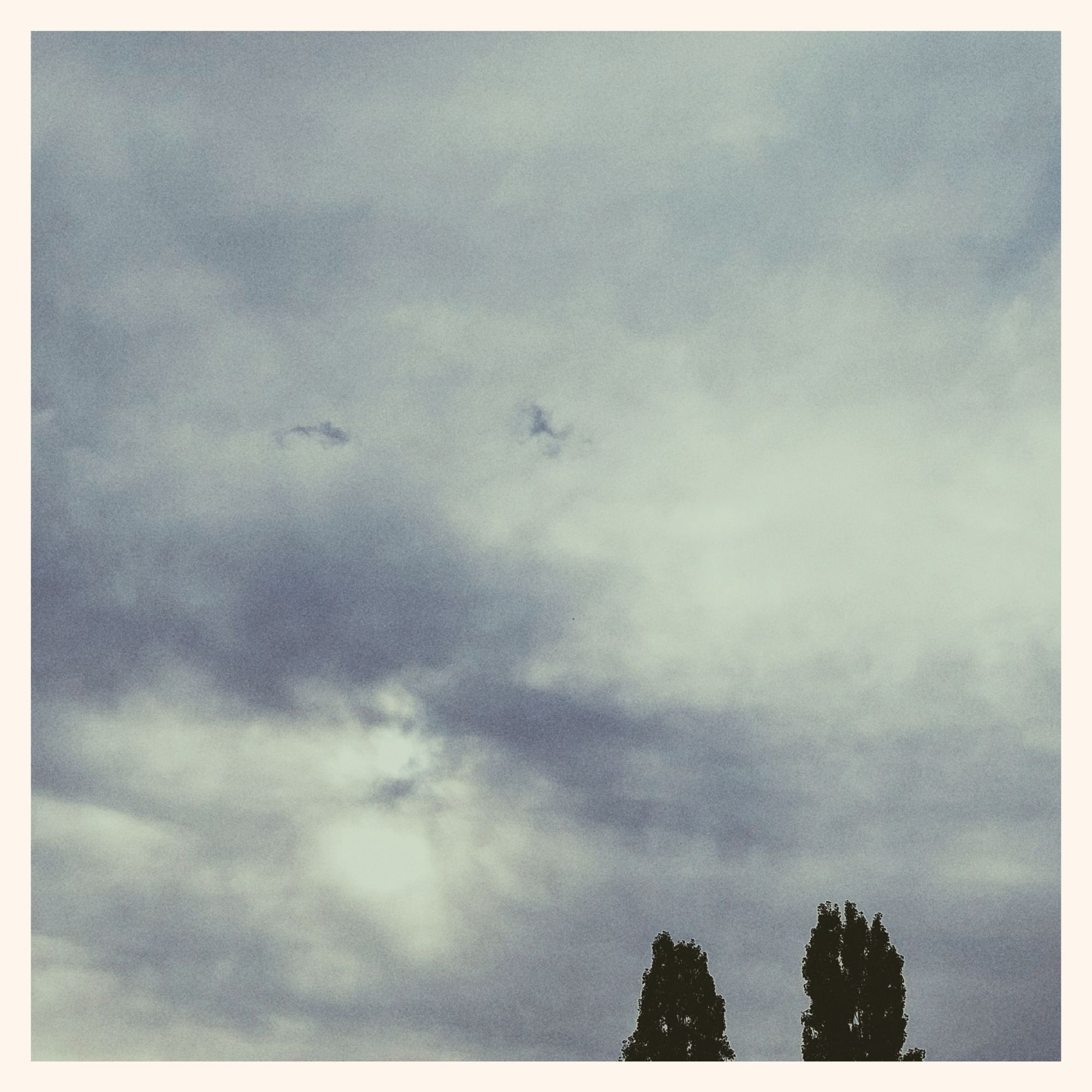 Structured grey sky, mostly clouds, a bit of light in between. Two tree tops on the lower right.