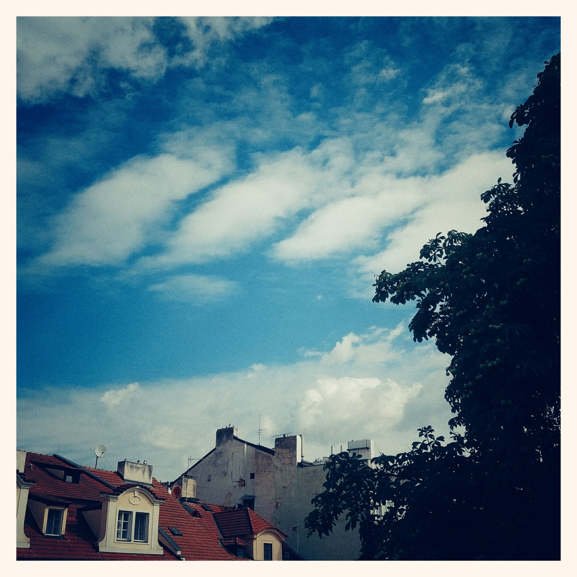 A collection of white clouds above old city roofs. Blue sky, and a huge tree.